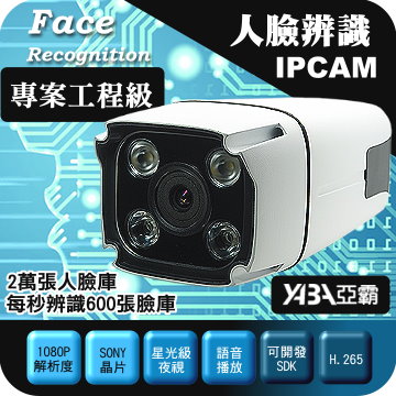 監視器材人臉辨識1080P IPCAM網路攝影機-SONY晶片星光級